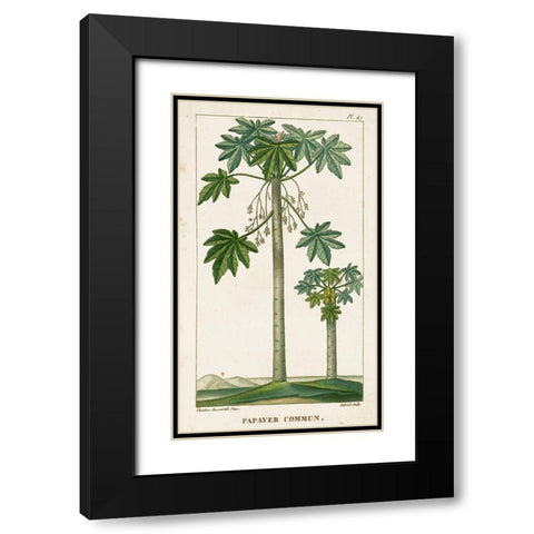 Turpin Exotic Palms II Black Modern Wood Framed Art Print with Double Matting by Turpin