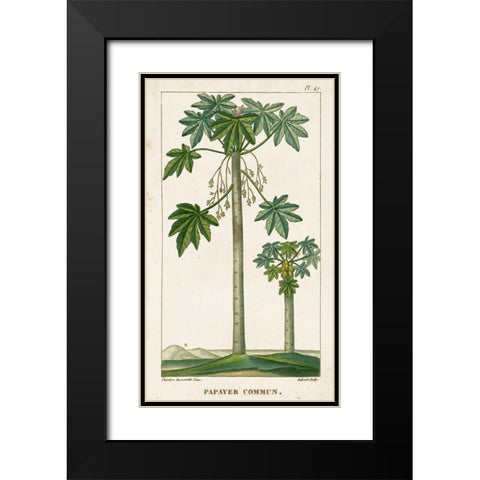 Turpin Exotic Palms II Black Modern Wood Framed Art Print with Double Matting by Turpin