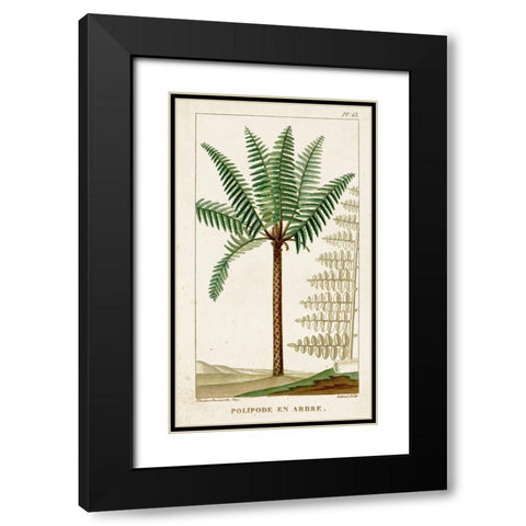 Turpin Exotic Palms III Black Modern Wood Framed Art Print with Double Matting by Turpin