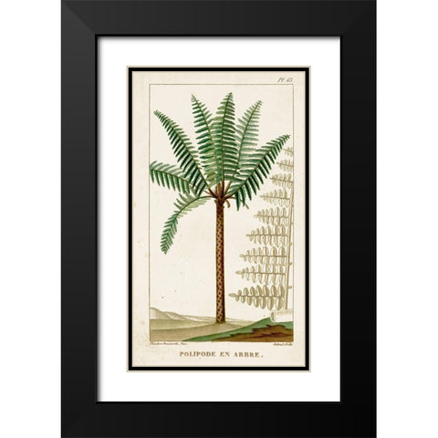Turpin Exotic Palms III Black Modern Wood Framed Art Print with Double Matting by Turpin