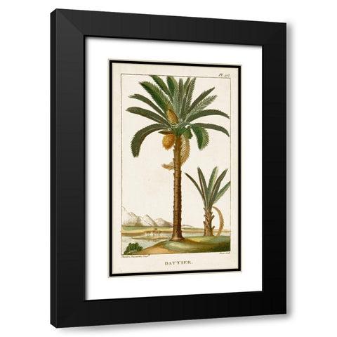 Turpin Exotic Palms IV Black Modern Wood Framed Art Print with Double Matting by Turpin