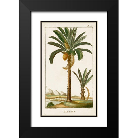 Turpin Exotic Palms IV Black Modern Wood Framed Art Print with Double Matting by Turpin
