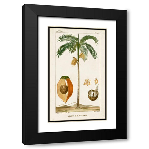 Turpin Exotic Palms V Black Modern Wood Framed Art Print with Double Matting by Turpin