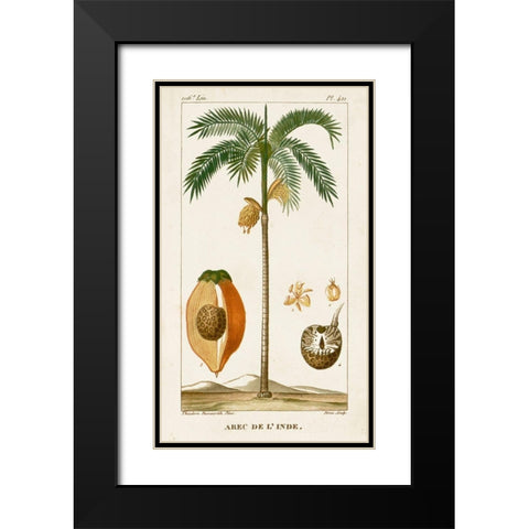 Turpin Exotic Palms V Black Modern Wood Framed Art Print with Double Matting by Turpin