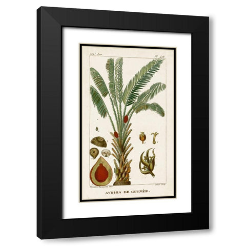 Turpin Exotic Palms VI Black Modern Wood Framed Art Print with Double Matting by Turpin