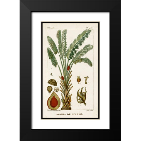 Turpin Exotic Palms VI Black Modern Wood Framed Art Print with Double Matting by Turpin
