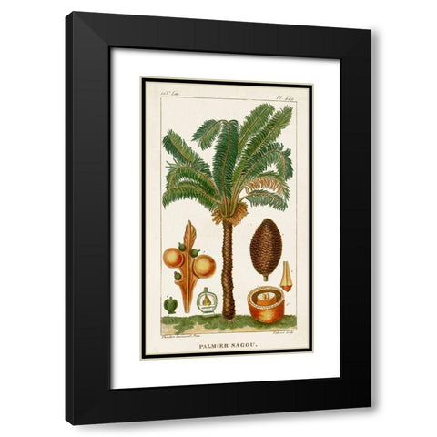Turpin Exotic Palms VII Black Modern Wood Framed Art Print with Double Matting by Turpin