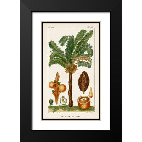 Turpin Exotic Palms VII Black Modern Wood Framed Art Print with Double Matting by Turpin