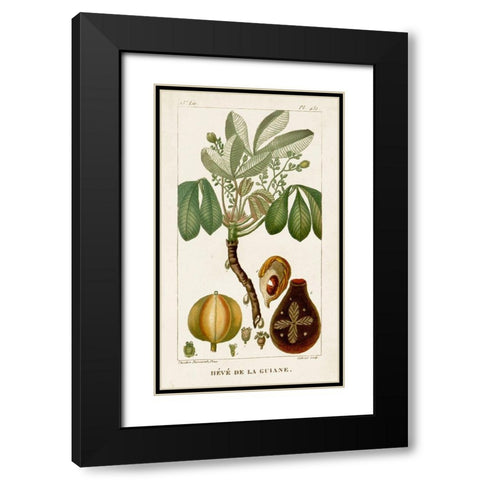 Turpin Exotic Palms VIII Black Modern Wood Framed Art Print with Double Matting by Turpin