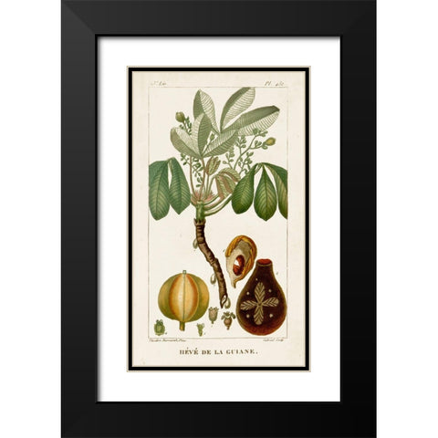 Turpin Exotic Palms VIII Black Modern Wood Framed Art Print with Double Matting by Turpin