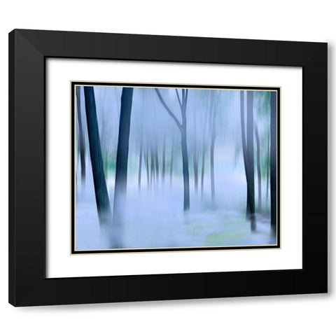 Misty Mountains XVI Black Modern Wood Framed Art Print with Double Matting by McLoughlin, James