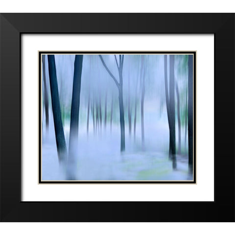 Misty Mountains XVI Black Modern Wood Framed Art Print with Double Matting by McLoughlin, James