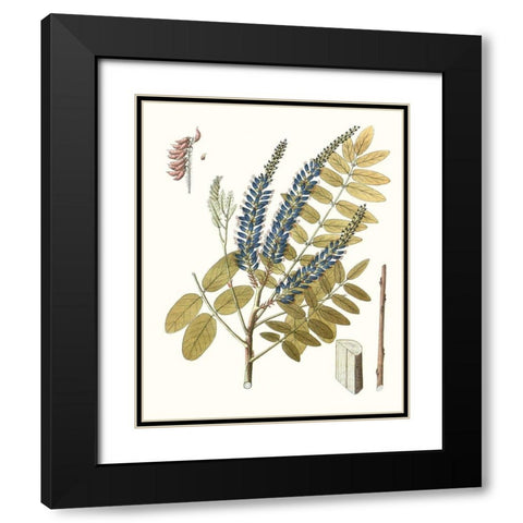 Lacy Leaves II Black Modern Wood Framed Art Print with Double Matting by Unknown