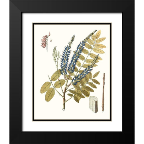 Lacy Leaves II Black Modern Wood Framed Art Print with Double Matting by Unknown