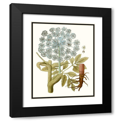 Lacy Leaves III Black Modern Wood Framed Art Print with Double Matting by Unknown