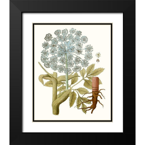 Lacy Leaves III Black Modern Wood Framed Art Print with Double Matting by Unknown