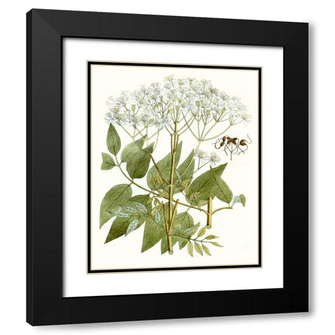 Lacy Leaves V Black Modern Wood Framed Art Print with Double Matting by Unknown