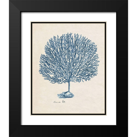 Sea Coral Study III Black Modern Wood Framed Art Print with Double Matting by Wang, Melissa
