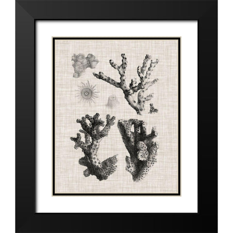 Coral Specimen I Black Modern Wood Framed Art Print with Double Matting by Vision Studio