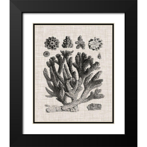 Coral Specimen IV Black Modern Wood Framed Art Print with Double Matting by Vision Studio