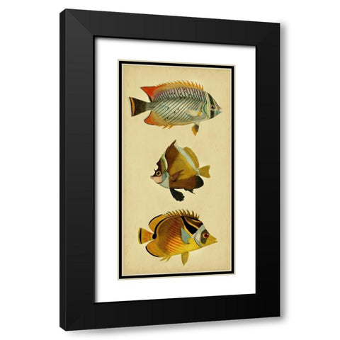 Trio of Tropical Fish II Black Modern Wood Framed Art Print with Double Matting by Vision Studio