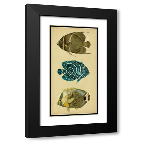 Trio of Tropical Fish III Black Modern Wood Framed Art Print with Double Matting by Vision Studio