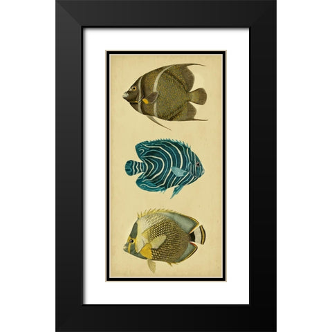 Trio of Tropical Fish III Black Modern Wood Framed Art Print with Double Matting by Vision Studio