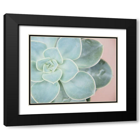 Succulent Glow IV Black Modern Wood Framed Art Print with Double Matting by Johnson, Jason