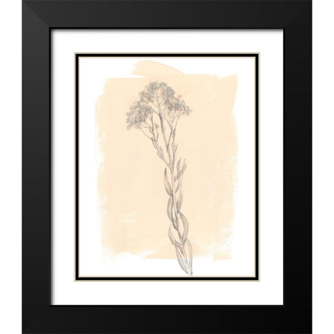 Branch on Blush I Black Modern Wood Framed Art Print with Double Matting by Goldberger, Jennifer