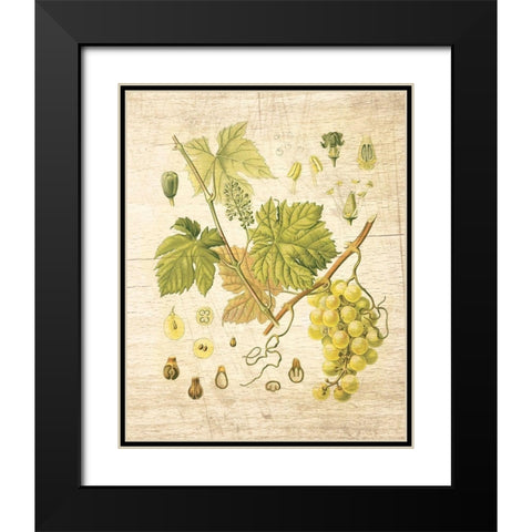 Grapevine II Black Modern Wood Framed Art Print with Double Matting by Nobleworks Inc.