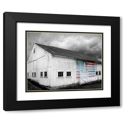 Flags of Our Farmers VIII Black Modern Wood Framed Art Print with Double Matting by McLoughlin, James
