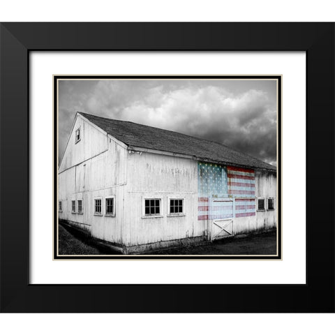 Flags of Our Farmers VIII Black Modern Wood Framed Art Print with Double Matting by McLoughlin, James