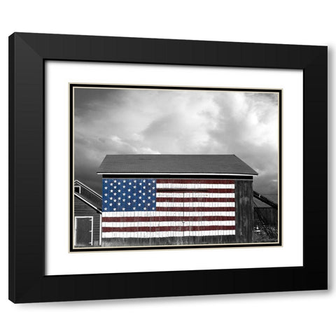 Flags of Our Farmers IX Black Modern Wood Framed Art Print with Double Matting by McLoughlin, James