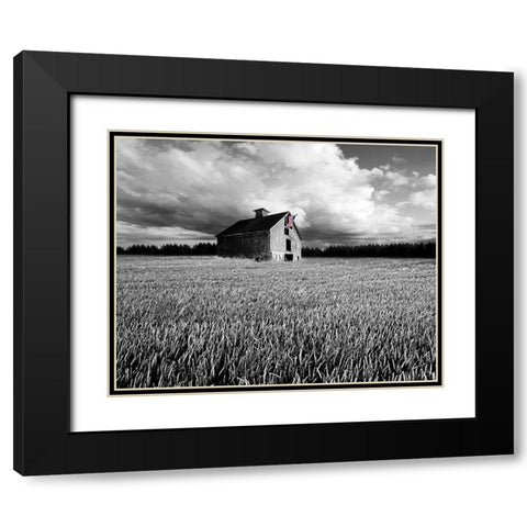 Flags of Our Farmers XIII Black Modern Wood Framed Art Print with Double Matting by McLoughlin, James