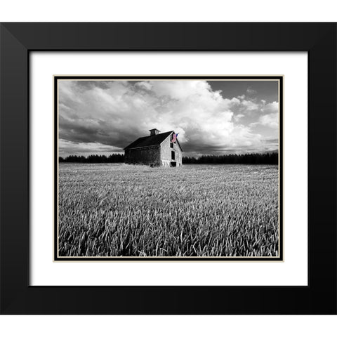 Flags of Our Farmers XIII Black Modern Wood Framed Art Print with Double Matting by McLoughlin, James