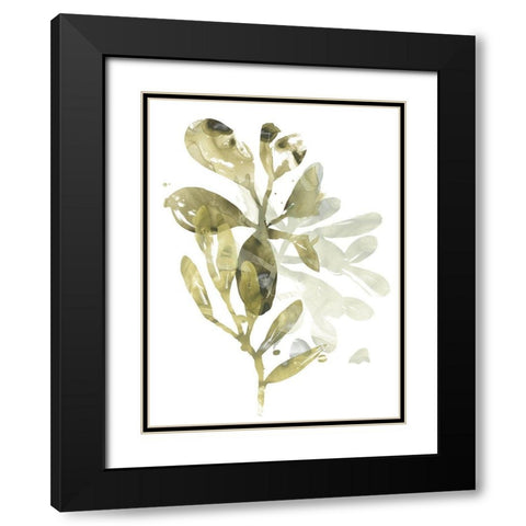 Lichen and Leaves I Black Modern Wood Framed Art Print with Double Matting by Vess, June Erica
