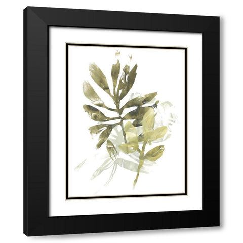 Lichen and Leaves III Black Modern Wood Framed Art Print with Double Matting by Vess, June Erica
