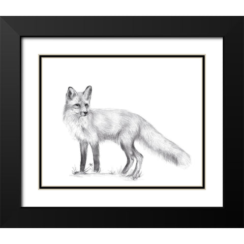 Wildlife Trail I Black Modern Wood Framed Art Print with Double Matting by Wang, Melissa