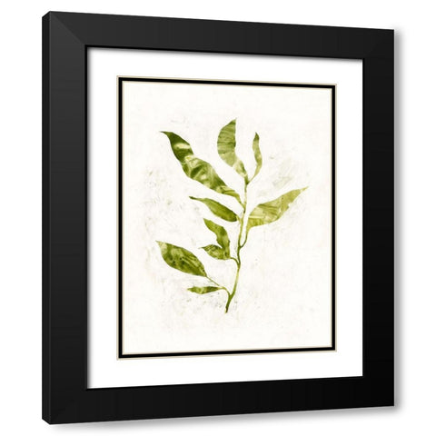 Sapling I Black Modern Wood Framed Art Print with Double Matting by Borges, Victoria