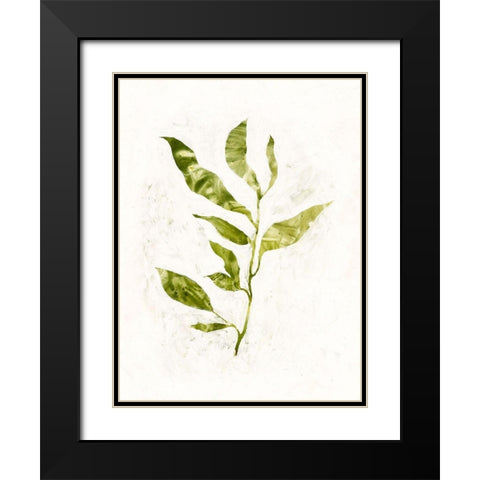 Sapling I Black Modern Wood Framed Art Print with Double Matting by Borges, Victoria