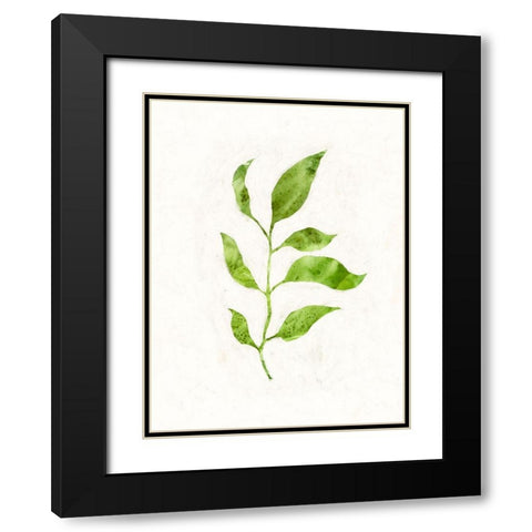 Sapling II Black Modern Wood Framed Art Print with Double Matting by Borges, Victoria