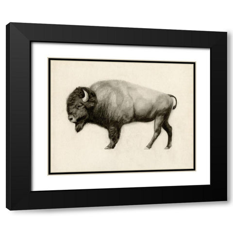 High Plains II Black Modern Wood Framed Art Print with Double Matting by Borges, Victoria
