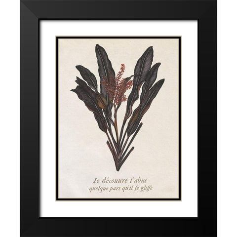 Seaweed Study I Black Modern Wood Framed Art Print with Double Matting by Wang, Melissa