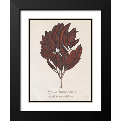 Seaweed Study II Black Modern Wood Framed Art Print with Double Matting by Wang, Melissa