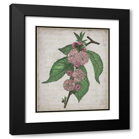 Floral Memory I Black Modern Wood Framed Art Print with Double Matting by Wang, Melissa