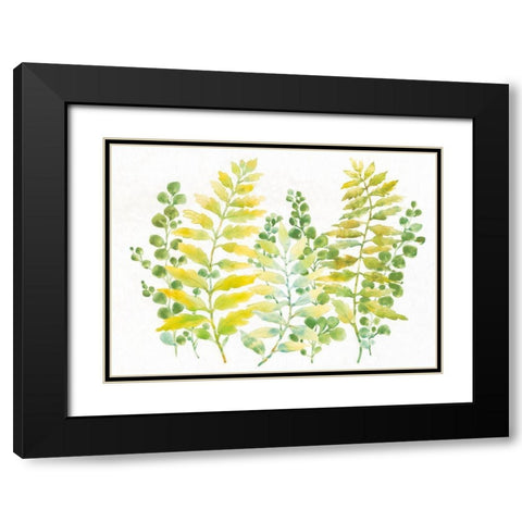 Mixed Greenery I Black Modern Wood Framed Art Print with Double Matting by OToole, Tim