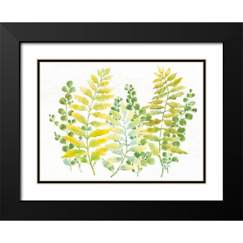 Mixed Greenery I Black Modern Wood Framed Art Print with Double Matting by OToole, Tim