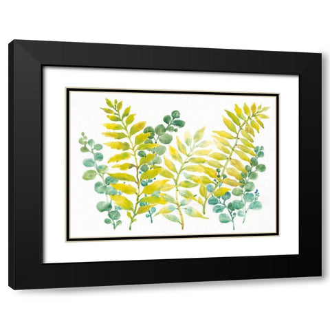 Mixed Greenery II Black Modern Wood Framed Art Print with Double Matting by OToole, Tim