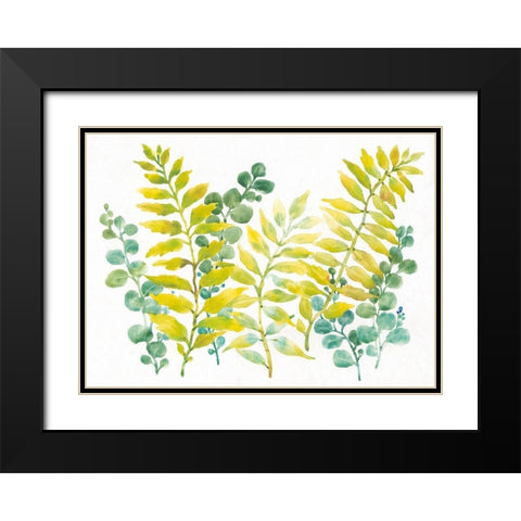 Mixed Greenery II Black Modern Wood Framed Art Print with Double Matting by OToole, Tim