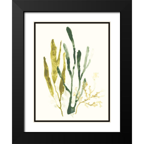 Kelp Collection I Black Modern Wood Framed Art Print with Double Matting by Vess, June Erica